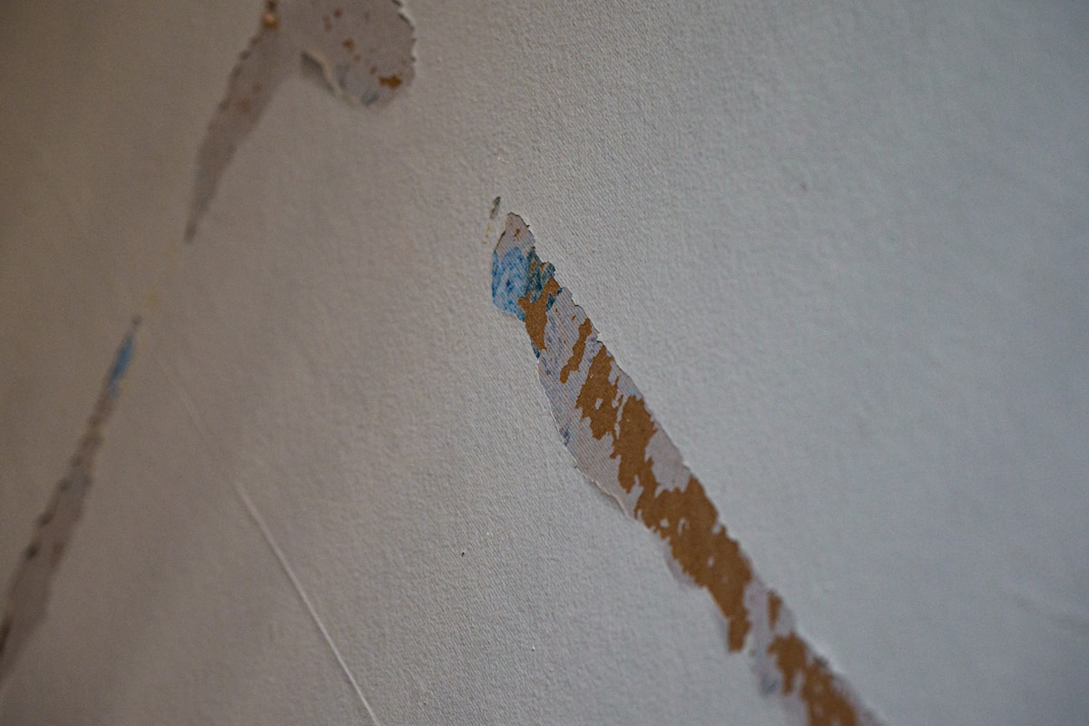 Mold Remediation service in League City, TX